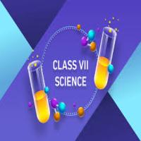 Science